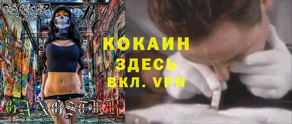 mdpv Лабытнанги