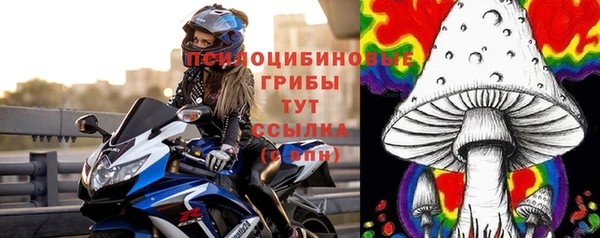 МДМА Лагань
