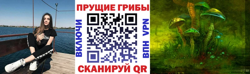 Галлюциногенные грибы мицелий  Купить где  Невельск 